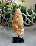 CITRINE ON STAND