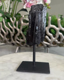 TOURMALINE ON STAND
