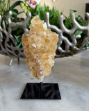 CITRINE ON STAND