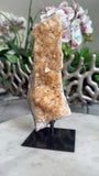 CITRINE ON STAND