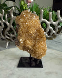 CITRINE ON STAND