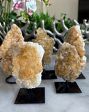 CITRINE ON STAND