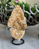 CITRINE ON STAND
