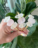 CRYSTAL & ROSE QUARTZ BRACELET