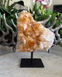 CITRINE ON STAND