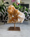 CITRINE ON STAND